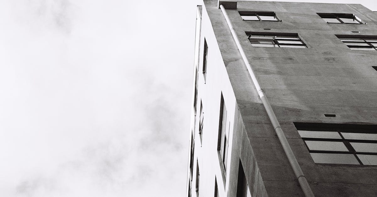 Maximising Natural Light with Sliding Windows in Your Melbourne Spaces