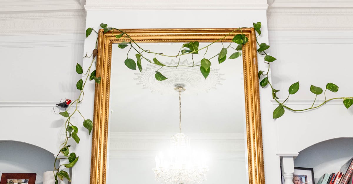 The Impact of Modern Window Styles on Selling Your Melbourne Home