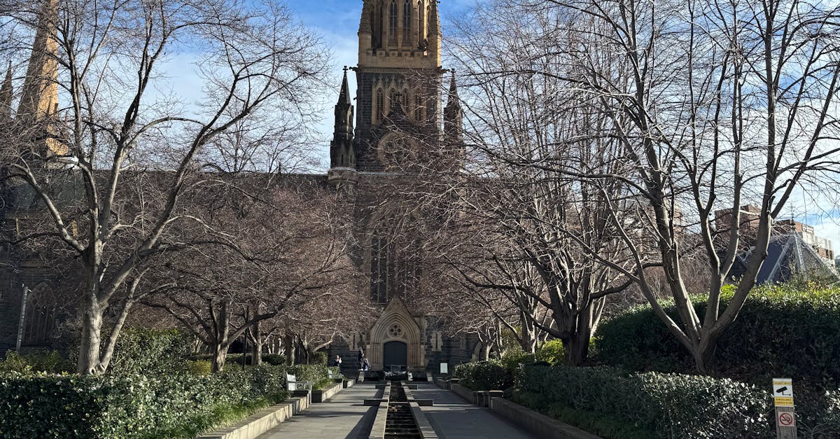 The Role of Window Aesthetics in Increasing Home Marketability