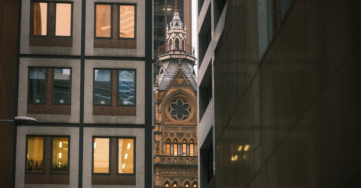 Understanding the Impact of Customer Reviews on Window Replacement Choices